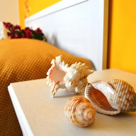 Vivere Il Mare Bed & Breakfast San Vito Lo Capo